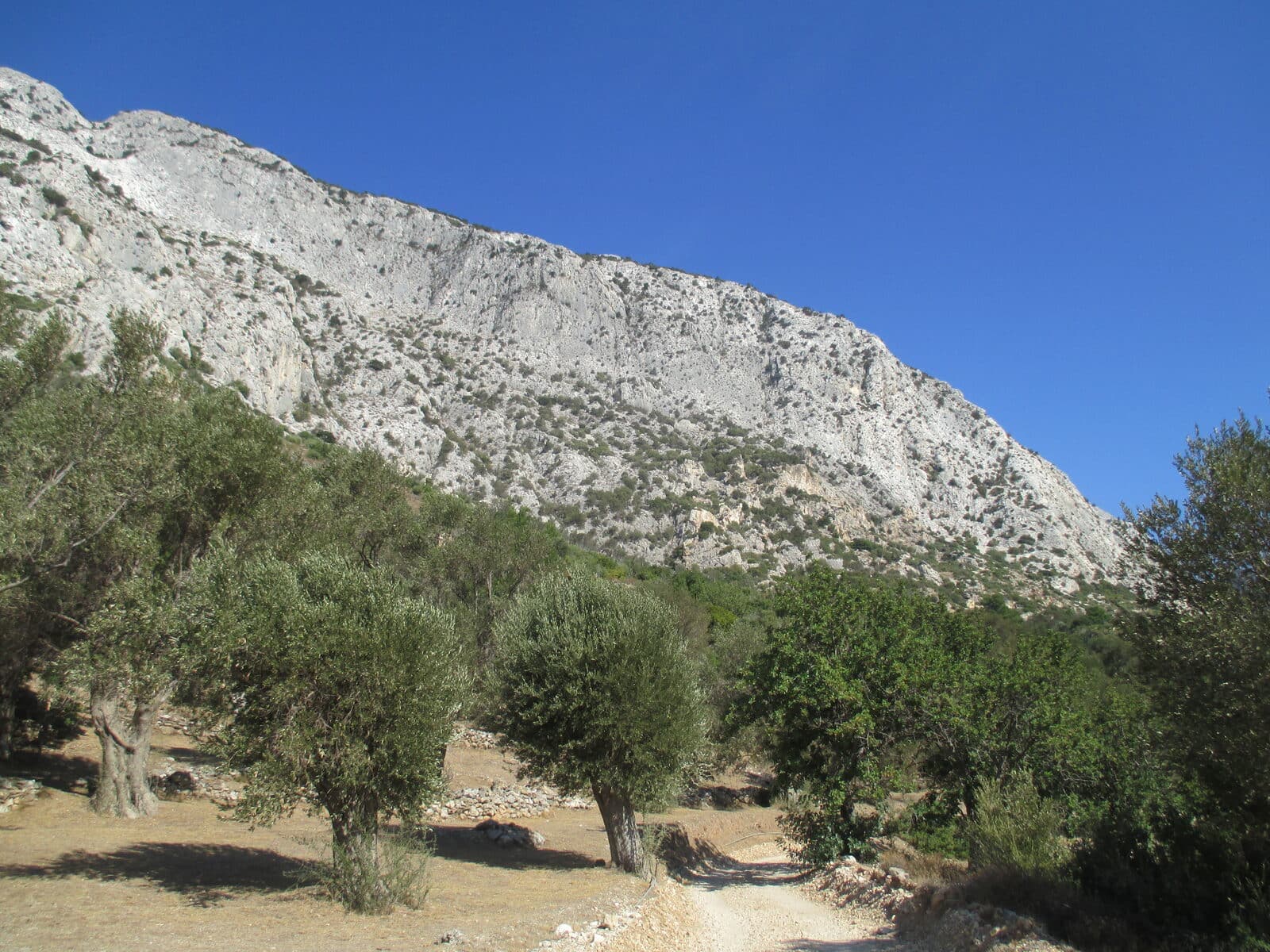 Samos: Full-Day Island Bus Tour (Starting from West Samos)
